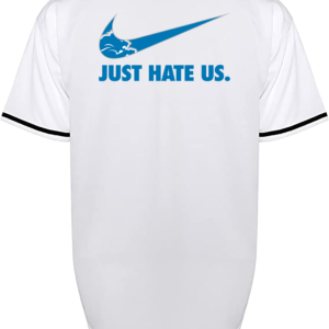 Custom Lions Nike Jersey